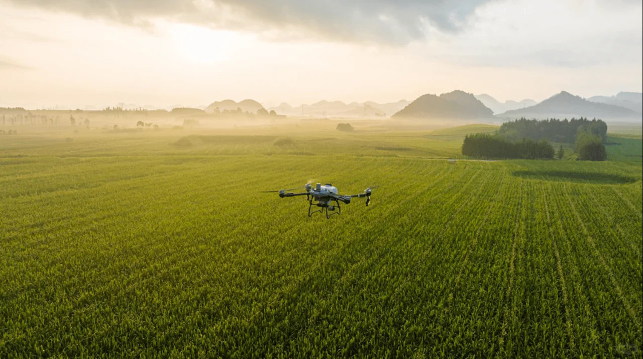 Agriculture Drones vs. Traditional Spraying A Comprehensive Comparison-4