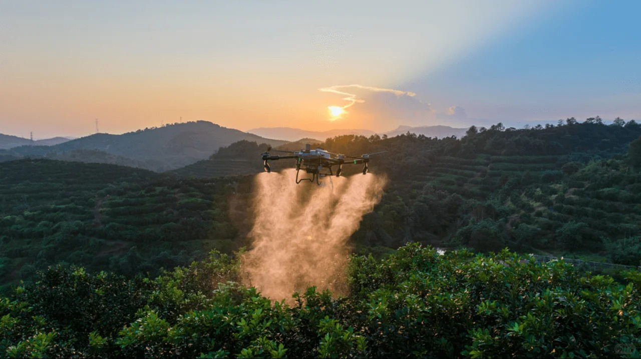 Agriculture Drones vs. Traditional Spraying A Comprehensive Comparison-5