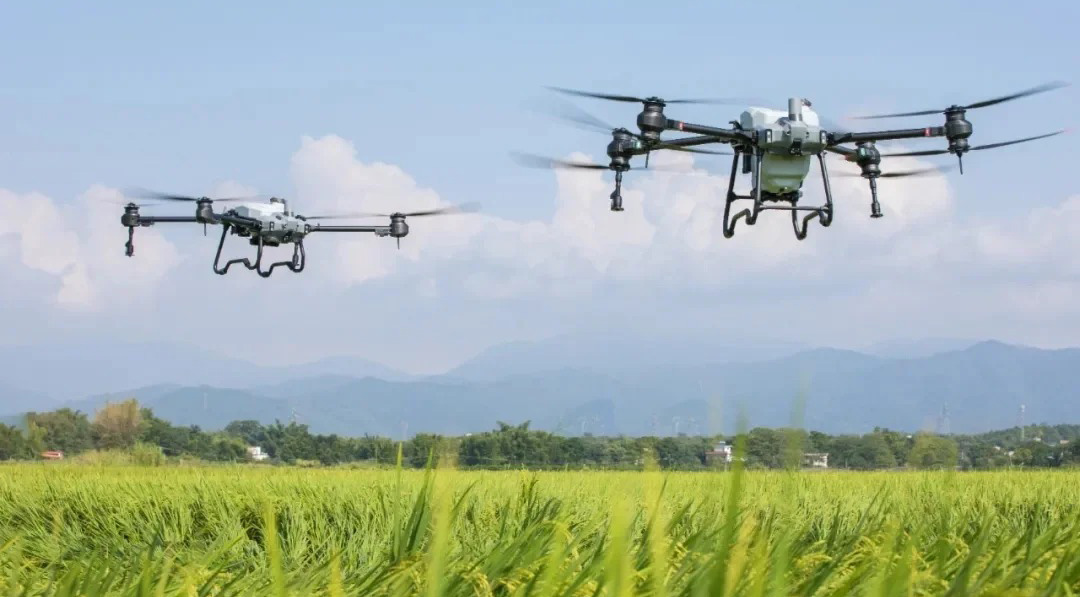 Power Up Your Harvest The Complete Guide to Charging Plant Protection Drone Batteries