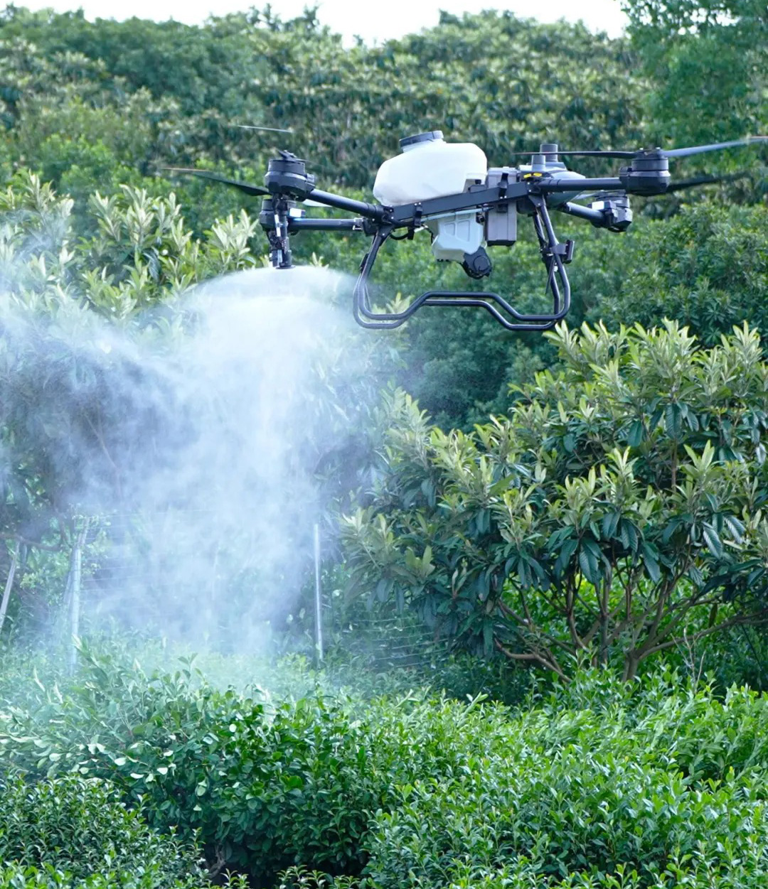 Spraying Drones Revolutionizing Agricultural Efficiency Pest Control-1