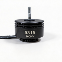 PiThrust 5315 260KV brushless motor — 8,601g thrust, 12S, 53mm stator, 348g